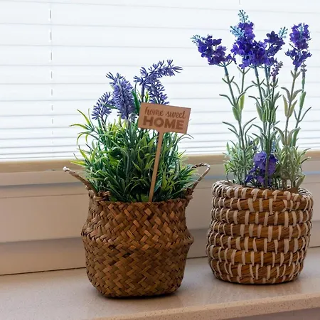 Warfenblick Holiday home