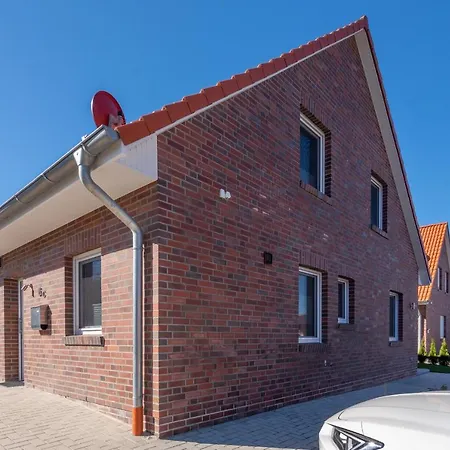 Warfenblick Dornum